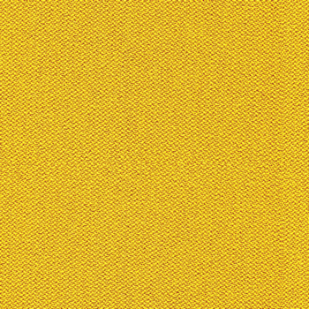 camira-era-cse32.jpg